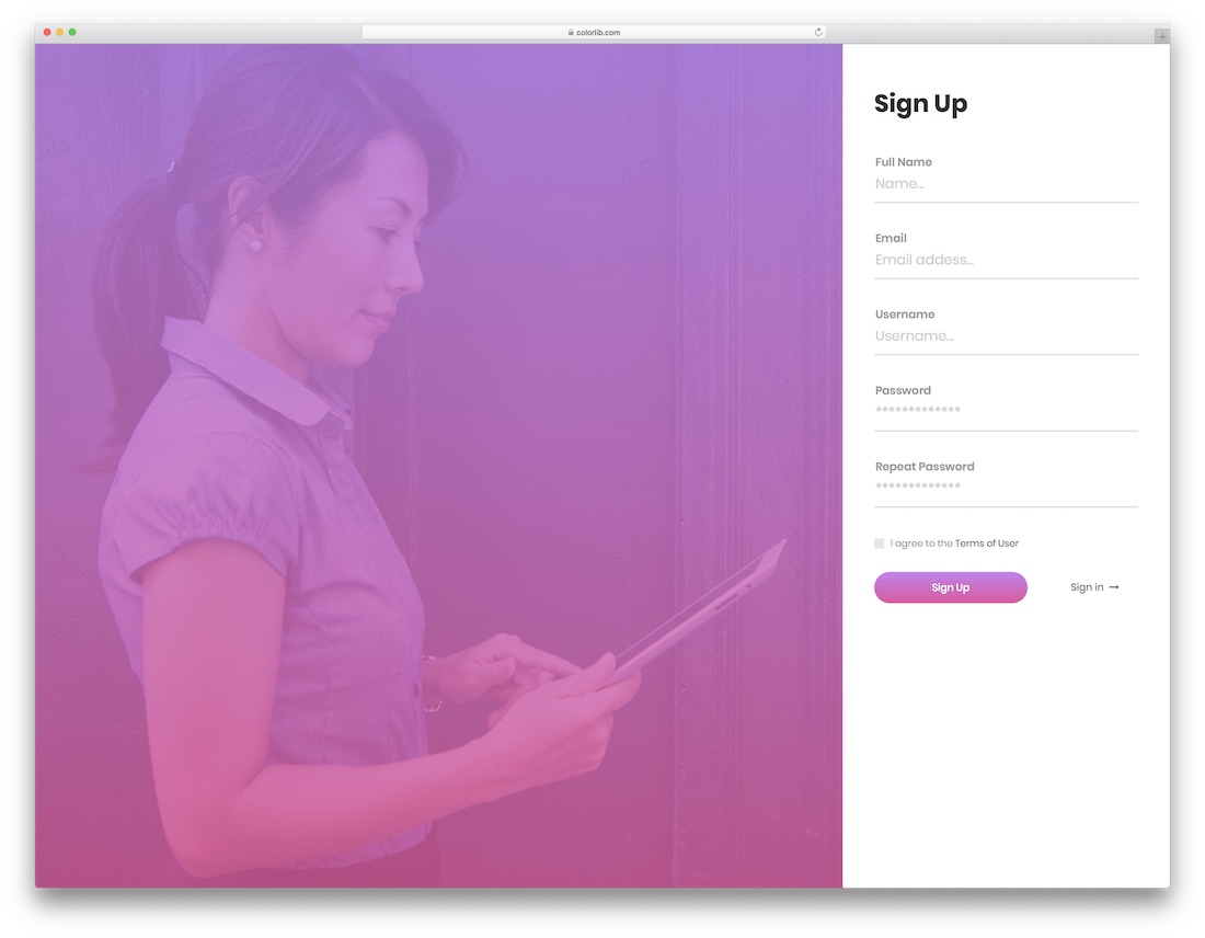 login-form-v13