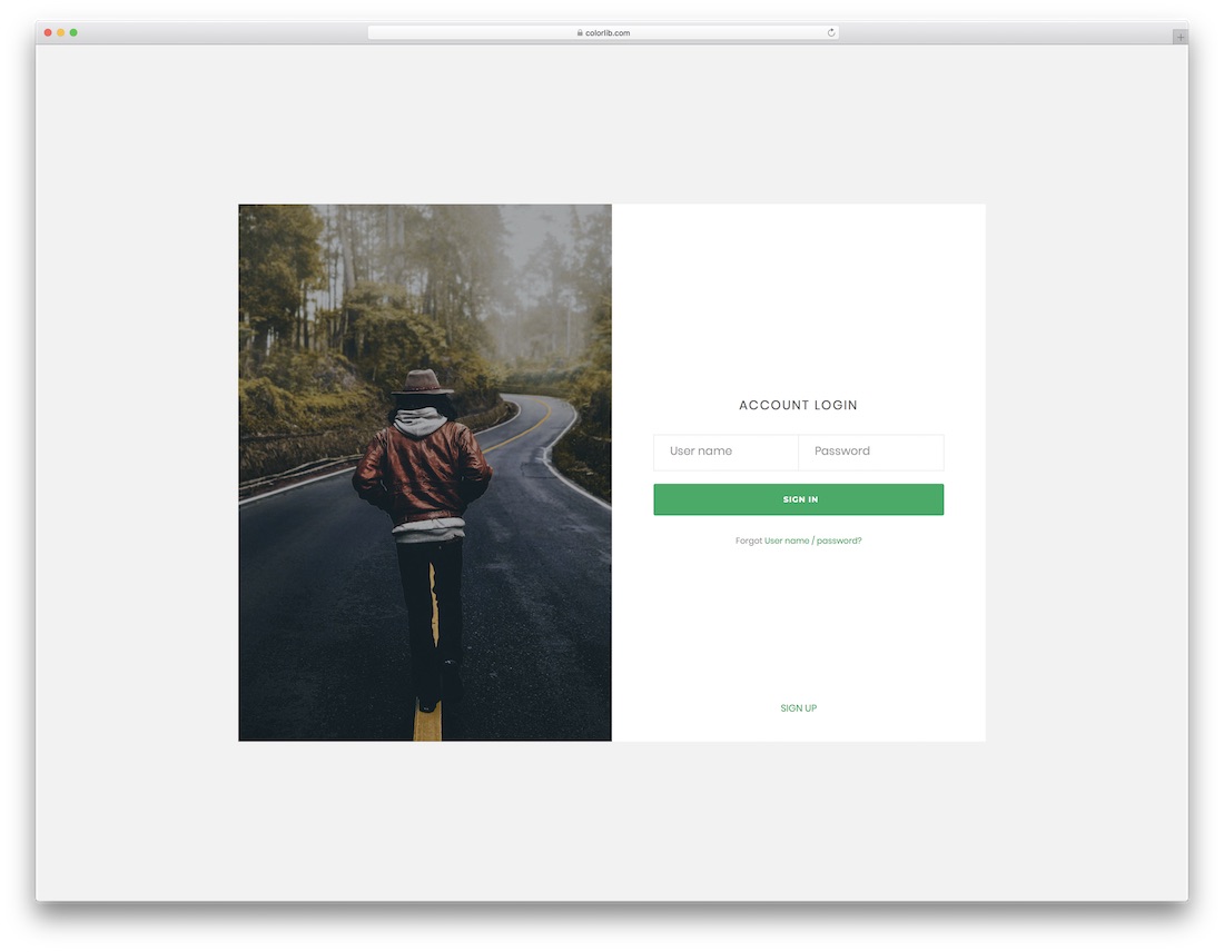 login-form-v17