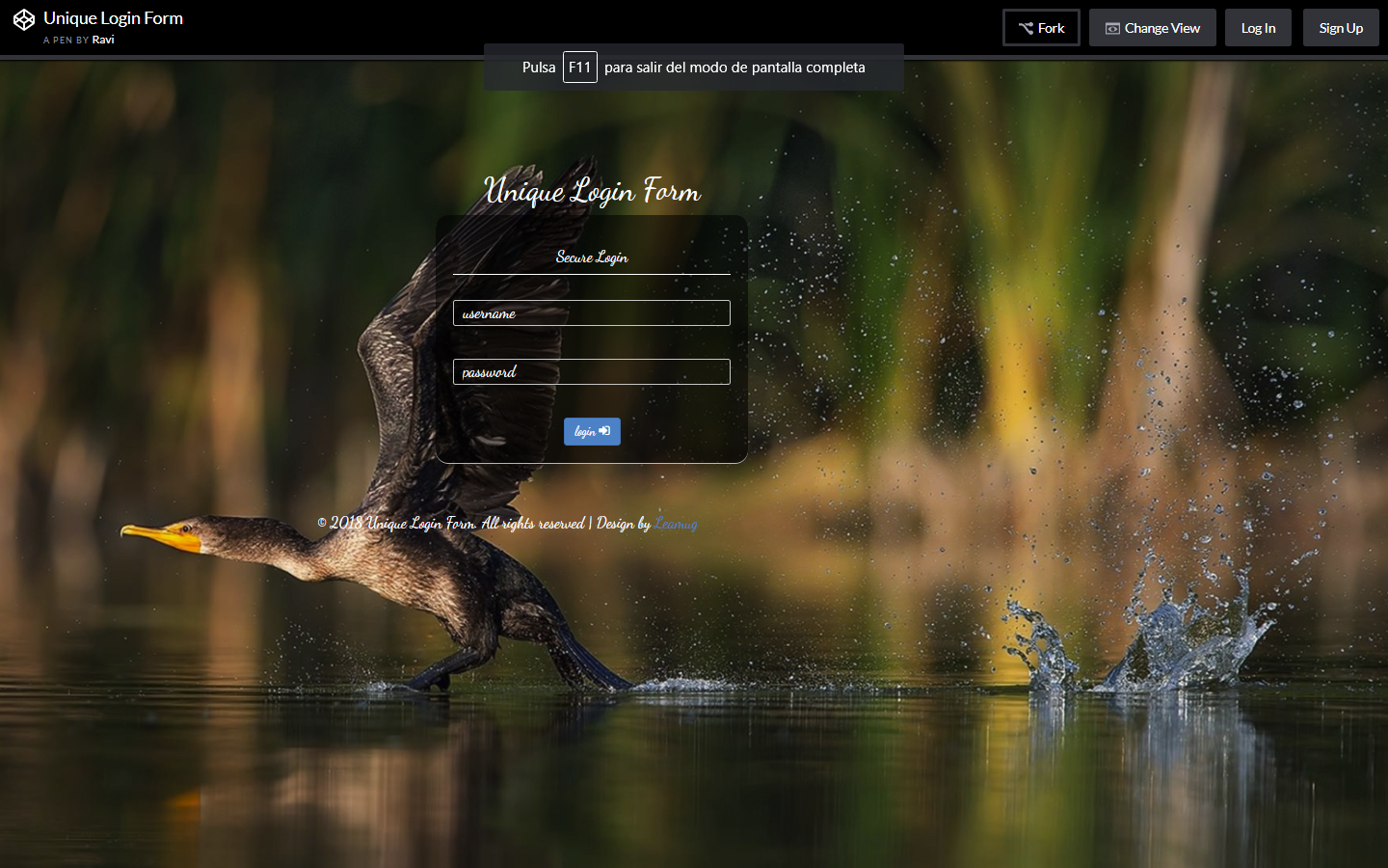 Unique Login Form
