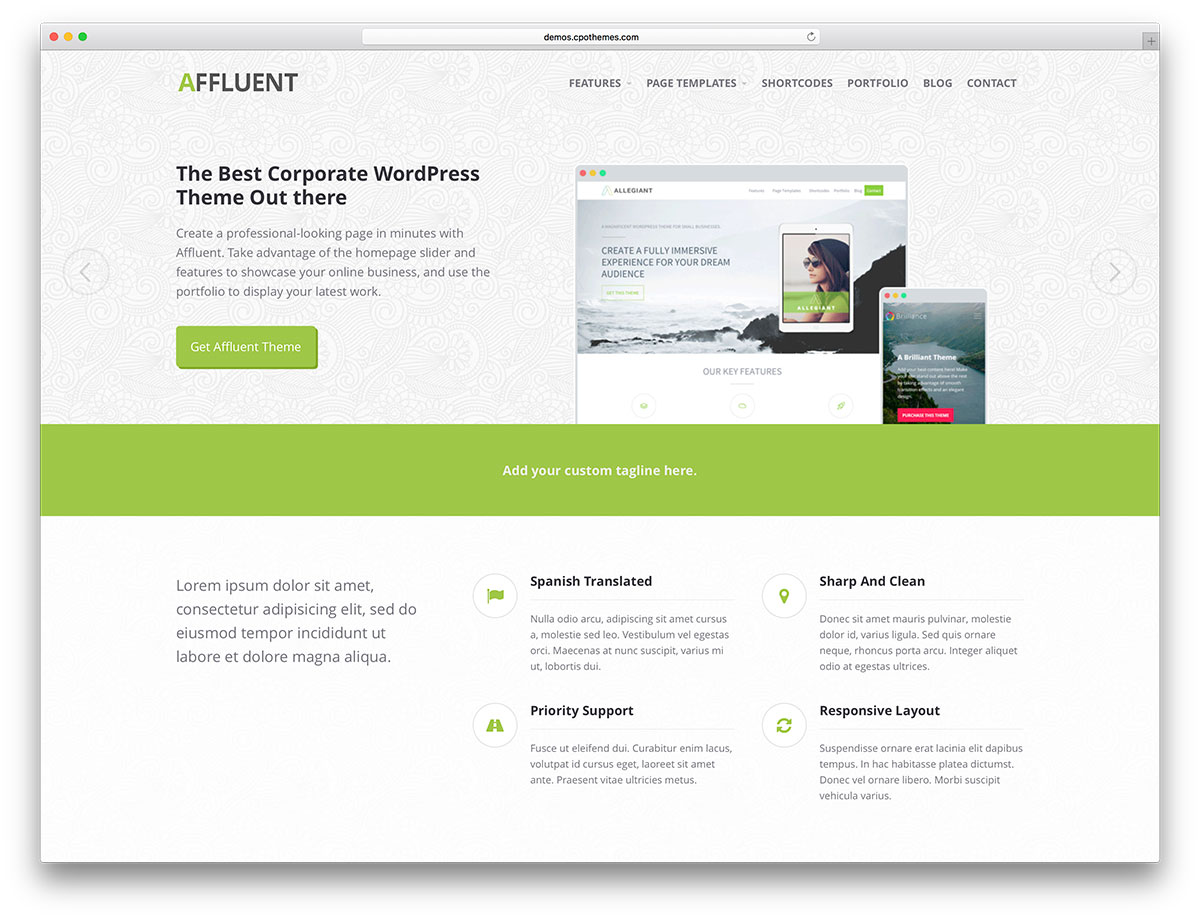 affluent-light-wordpress-website-theme.jpg