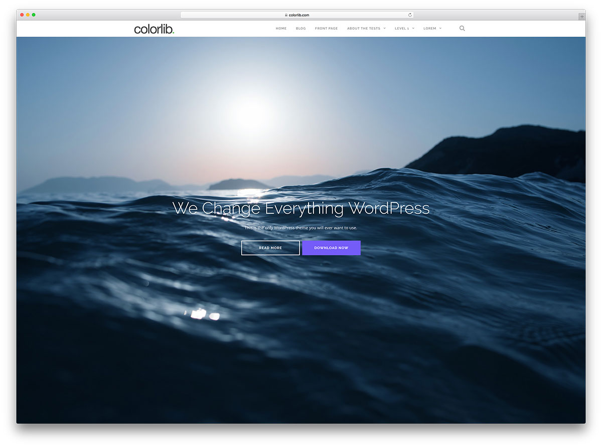 shapely-freee-fullscreen-multipurpose-wordpress-theme.jpg