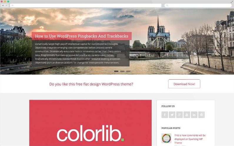 Sparkling-Free-Flat-Design-WordPress-Theme-.jpg