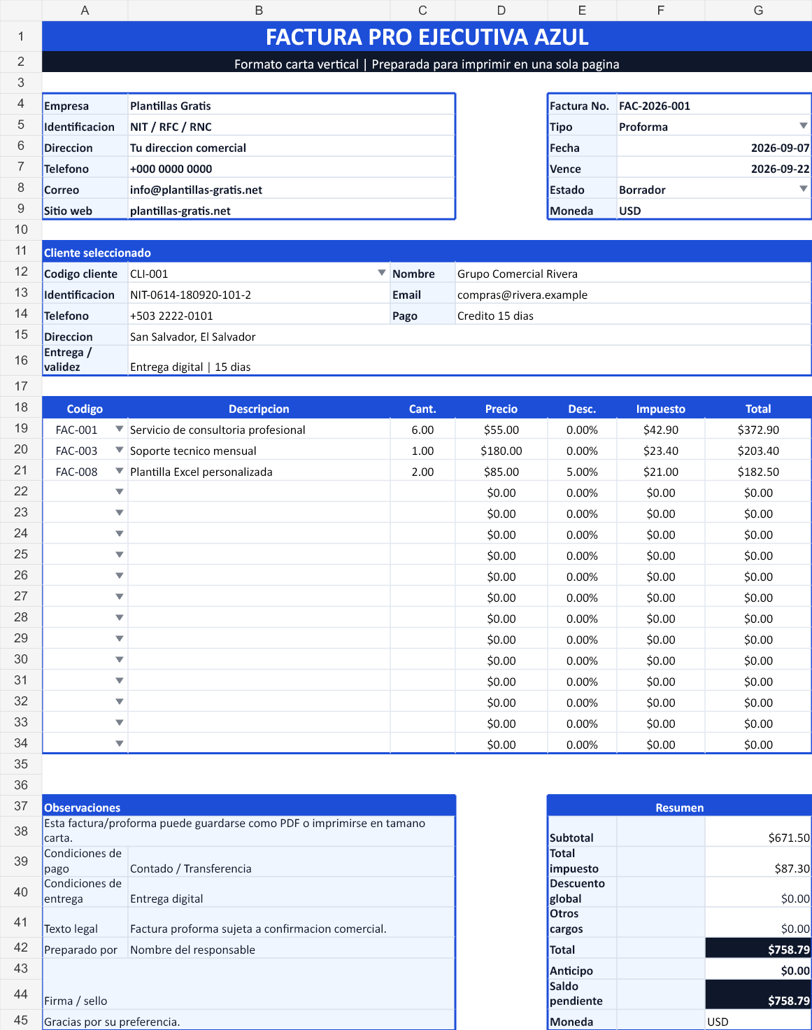 Ejecutiva azul. Vista con los datos de ejemplo del archivo.