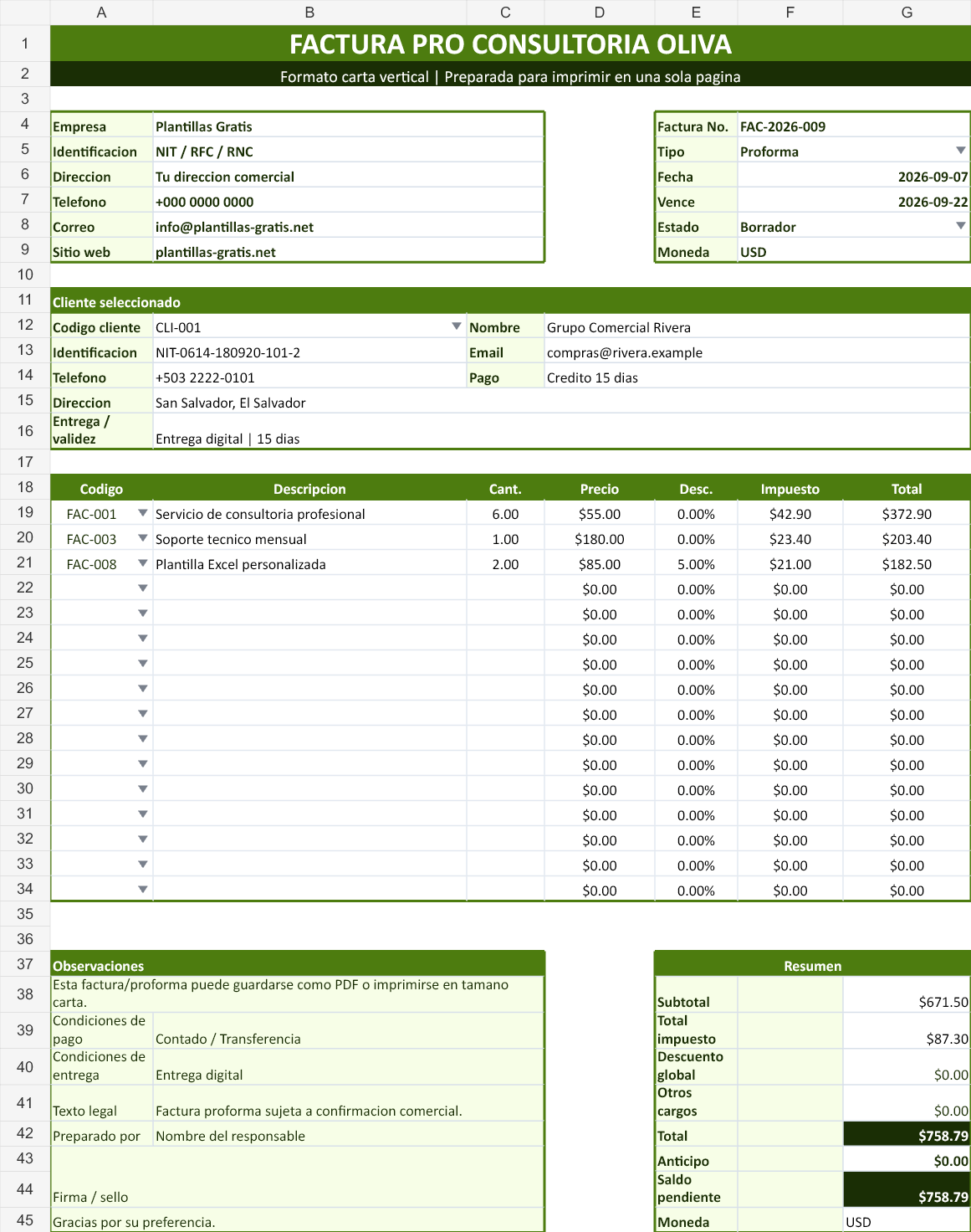 Consultoría oliva. Vista con los datos de ejemplo del archivo.