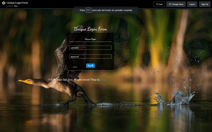 Unique Login Form