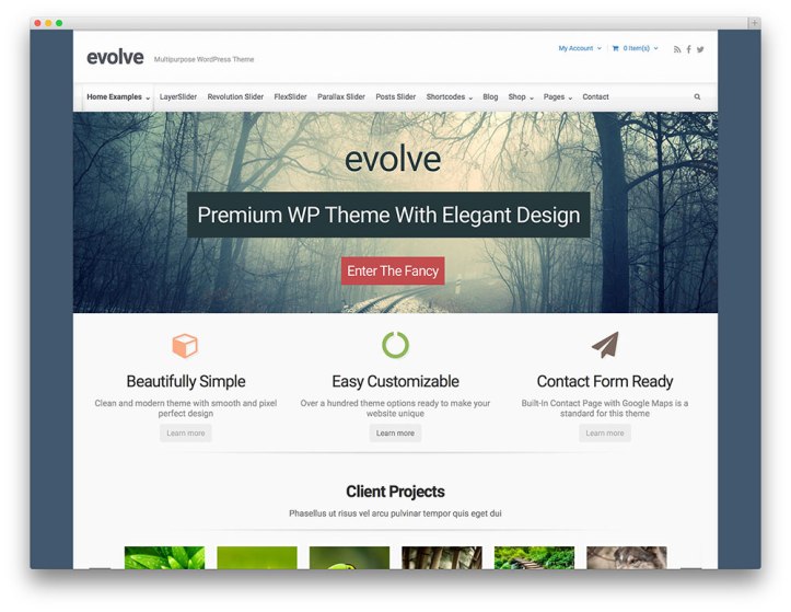evelo-corporate-wordpress-template.jpg